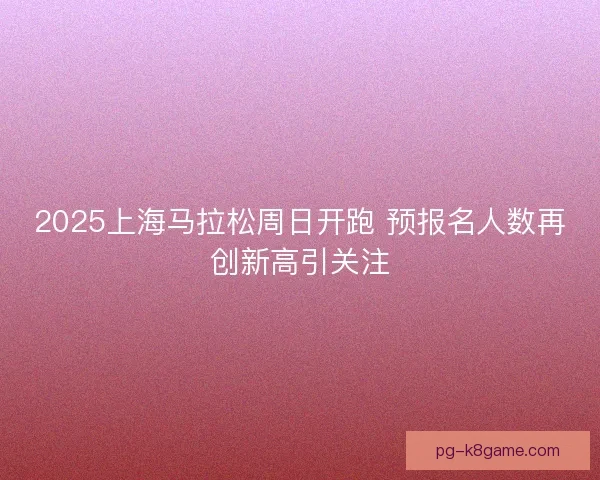 2025上海马拉松周日开跑 预报名人数再创新高引关注