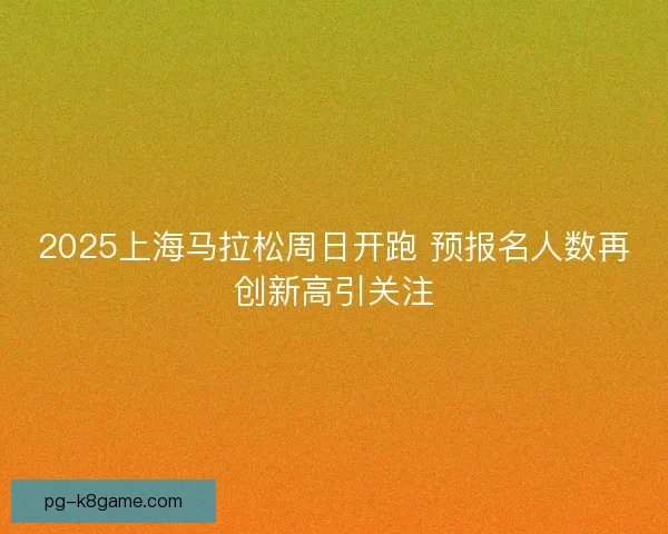 2025上海马拉松周日开跑 预报名人数再创新高引关注