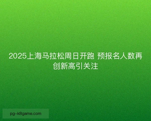 2025上海马拉松周日开跑 预报名人数再创新高引关注 2025上海马拉松周日开跑 预报名人数再创新高引关注